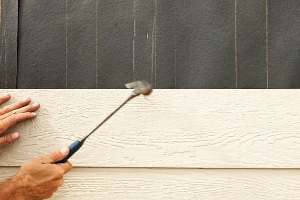 Best Siding Replacement  in Lmar, DE